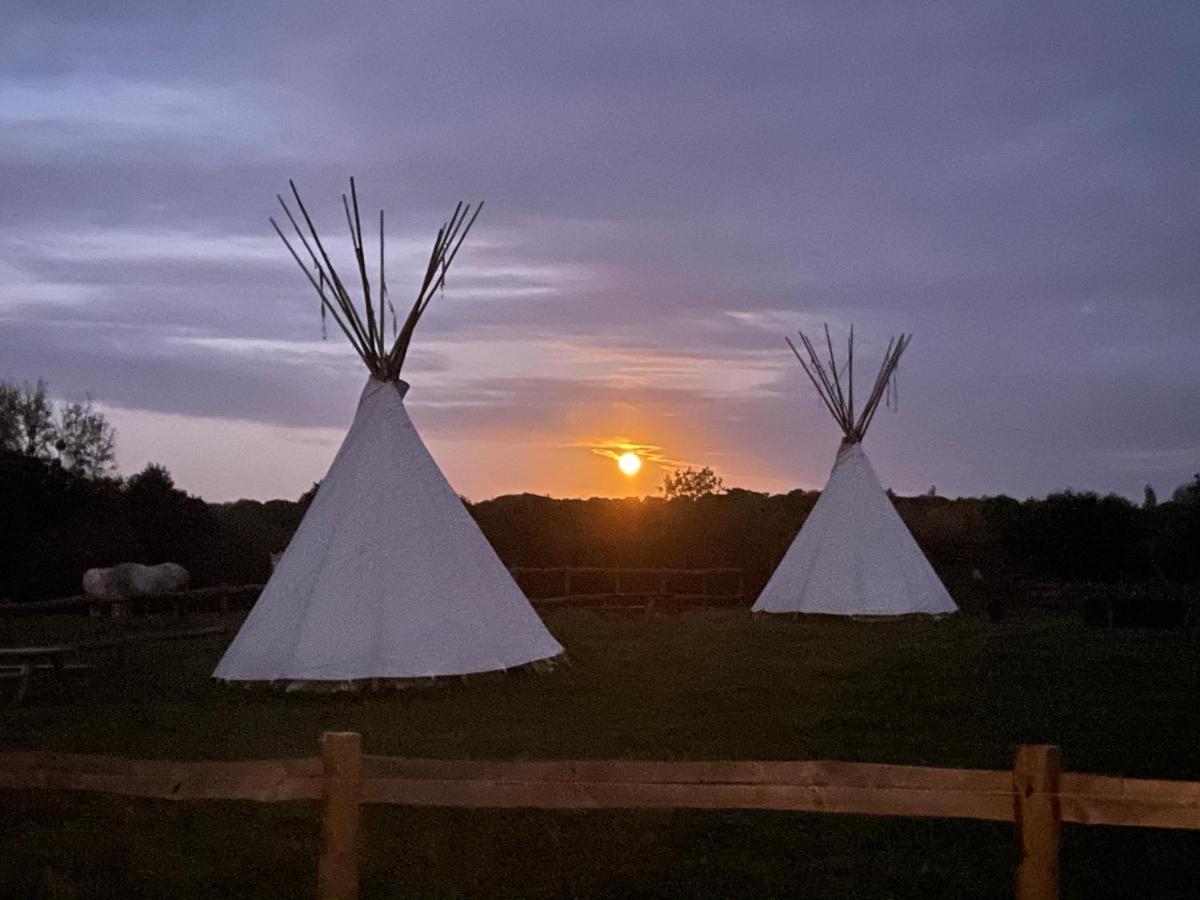 Terra-Tipike, Tipi A La Ferme Entre Terre Et Mer Trébry Buitenkant foto