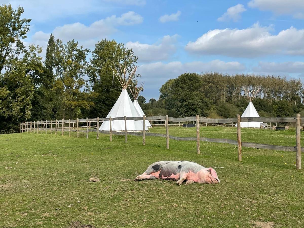 Terra-Tipike, Tipi A La Ferme Entre Terre Et Mer Trébry Buitenkant foto